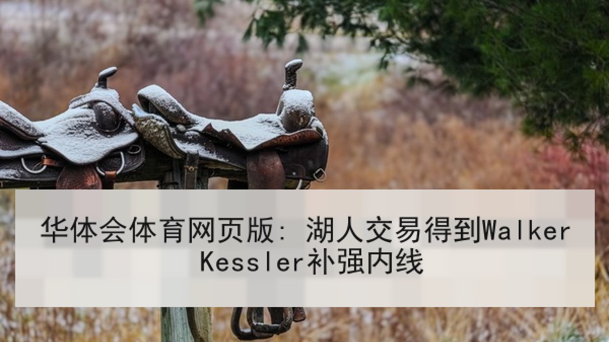 华体会体育网页版: 湖人交易得到Walker Kessler补强内线