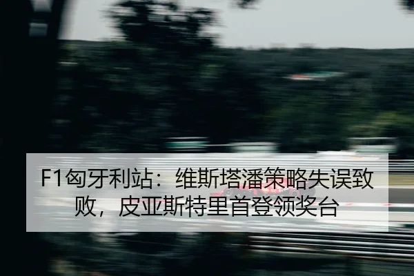 xiong-ya-li-zhan-wei-si-ta-pan-ce-lve-shi-wu-zhi-bai-pi-ya-si-te-li-shou-deng-ling-jiang-tai-2-956.jpg