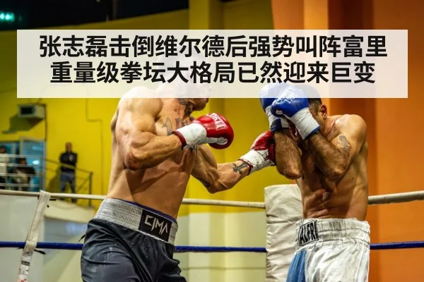 张志磊击倒维尔德后强势叫阵富里重量级拳坛大格局已然迎来巨变