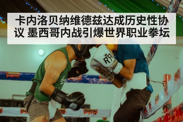 卡内洛贝纳维德兹达成历史性协议 墨西哥内战引爆世界职业拳坛